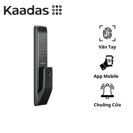 anh-dai-dien-kaadas-Q3